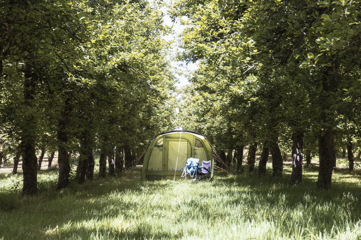 Cider Farm Orchard Camping