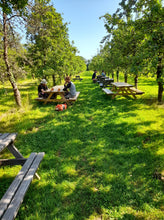 Load image into Gallery viewer, Cider Farm Orchard Camping