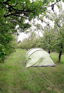 Tent camping on the Cider Orchard