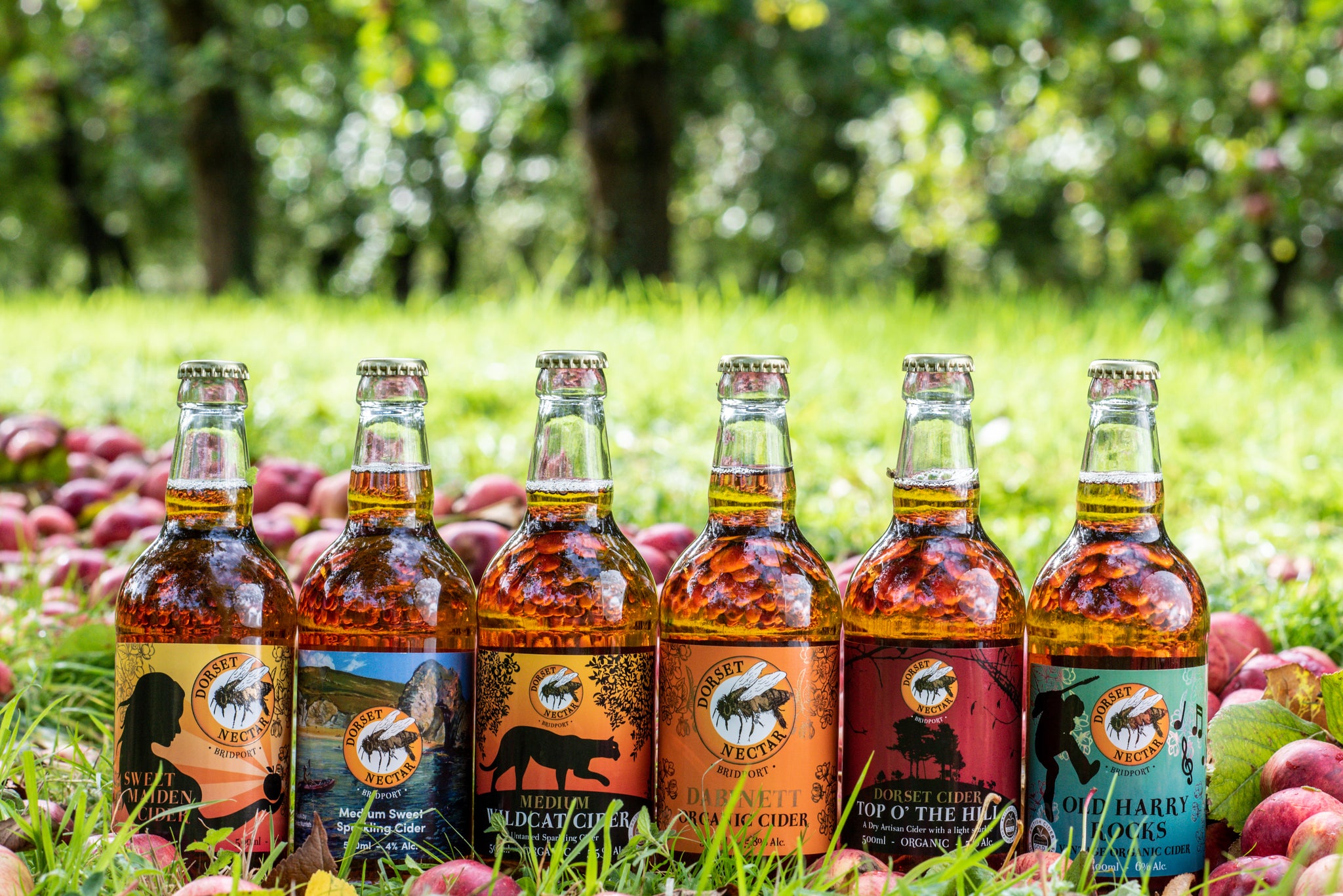 Traditional Mixed Cider Collection – Dorset Nectar Organic Cider