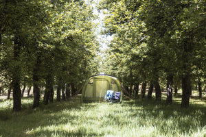 Tent camping on the Cider Orchard
